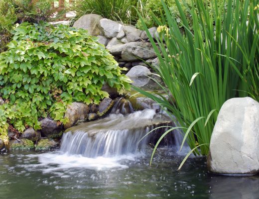 Koi Pond with Aerator System