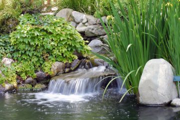 Koi Pond with Aerator System