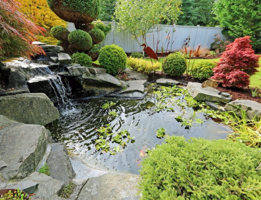 Pond Filter System in action