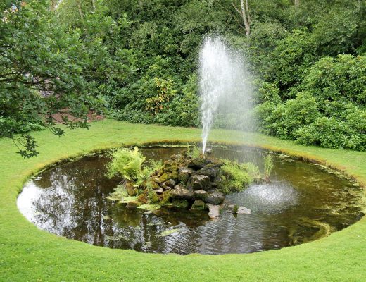 8 benefits of using a solar pond pump