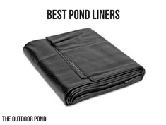 Best Pond Liners