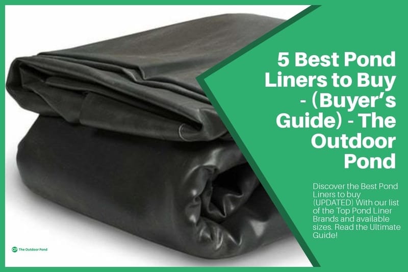 Top 5 Best Pond Liners