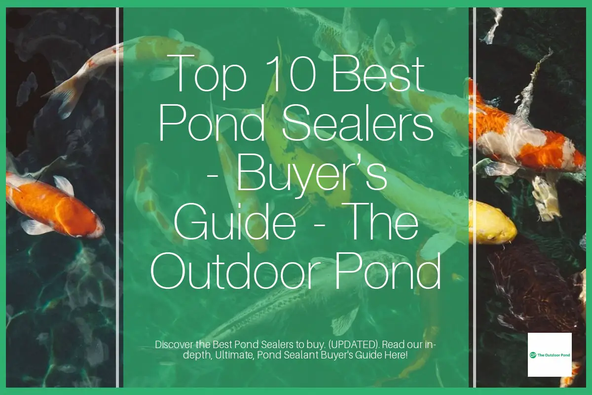 Top 10 Best Pond Sealers & Sealants