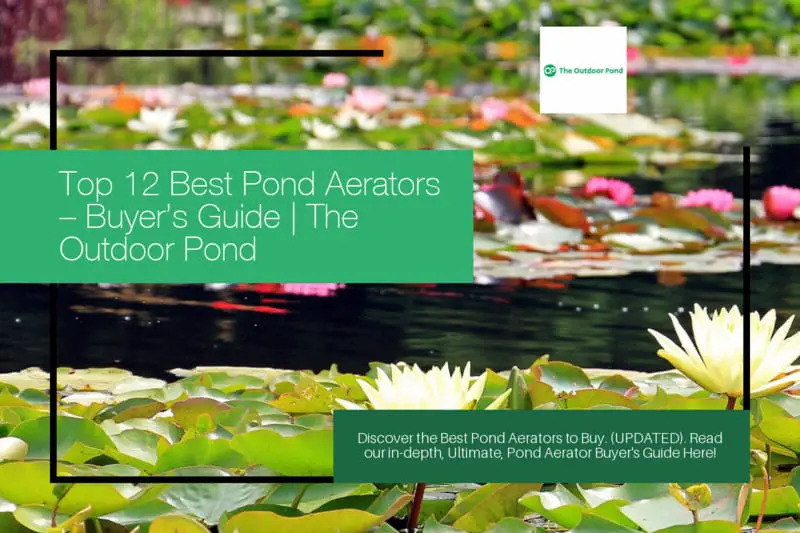 Top Pond Aerators & Air Pumps for Sale