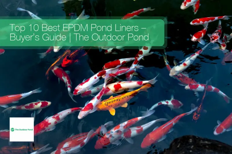 Top 10 best EPDM pond liners