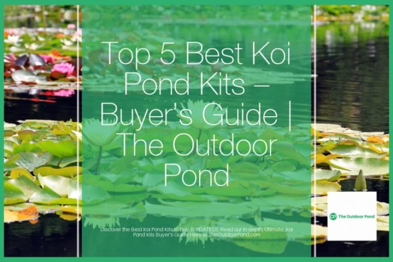 Top 5 Best Koi Pond Kits 🥇(Sep 2024)