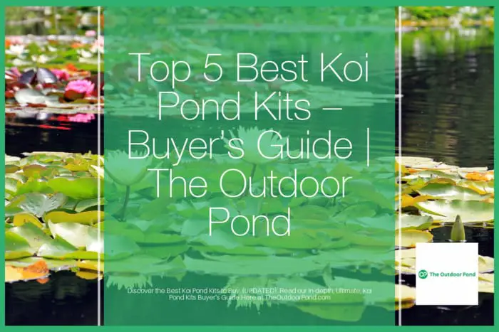 Top 5 Best Koi Pond Kits