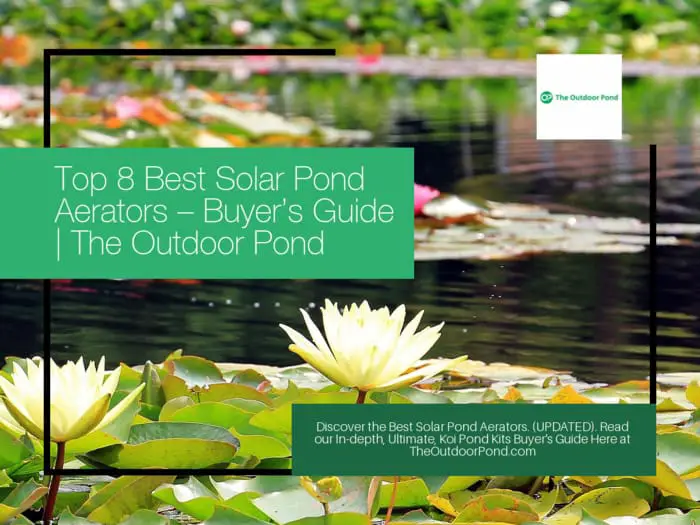 Top 8 Best Solar Pond Aerators 🥇(2020