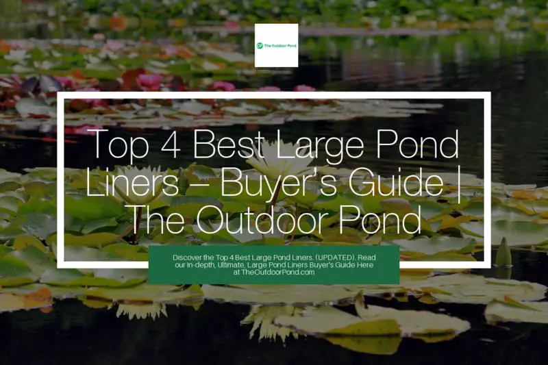 Top 4 Large Pond Liners