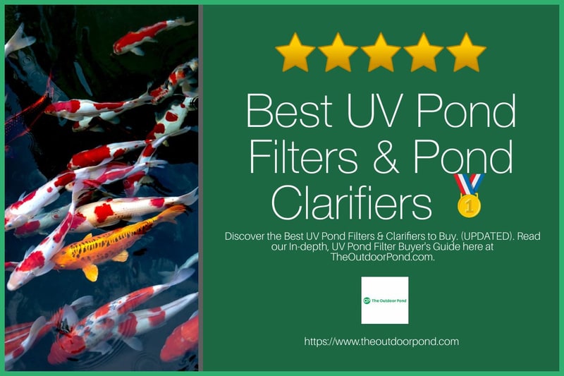 Best UV Pond Filters and Pond Clarifiers