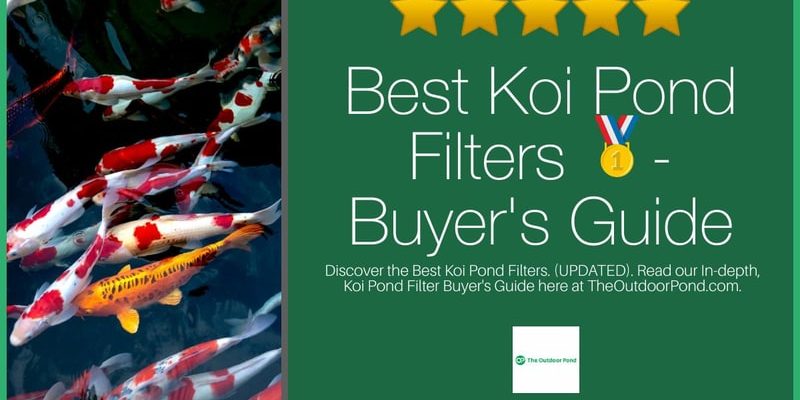 Top 10 Best Koi Pond Filters π₯(2020 Review) – Buyer’s Guide