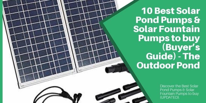 Top 10 Best Solar Pond Pumps & Solar Fountain Pumps π₯(2020)