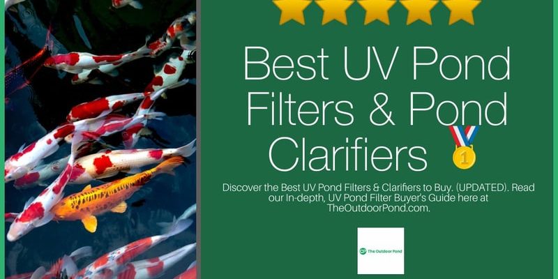 Top 11 Best UV Pond Filters & Pond Clarifiers π₯ (2020 Review)