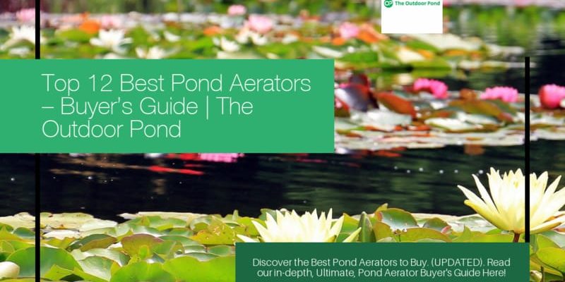 Top 12 Best Pond Aerators (2019 Review) – Buyer’s Guide