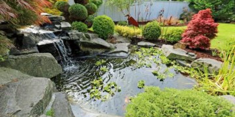 Everything you need to know about Pond Filters