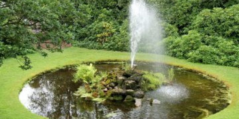 8 Benefits of Using a Solar Pond Pump
