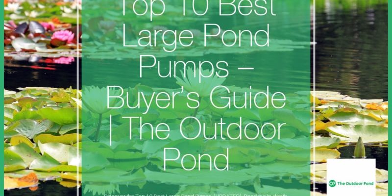 Top 10 Best Large Pond Pumps π₯(2019 Review) | The Outdoor Pond