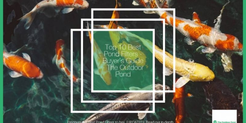 Top 10 Best Pond Filters 🥇(2019 Review) – Buyer’s Guide