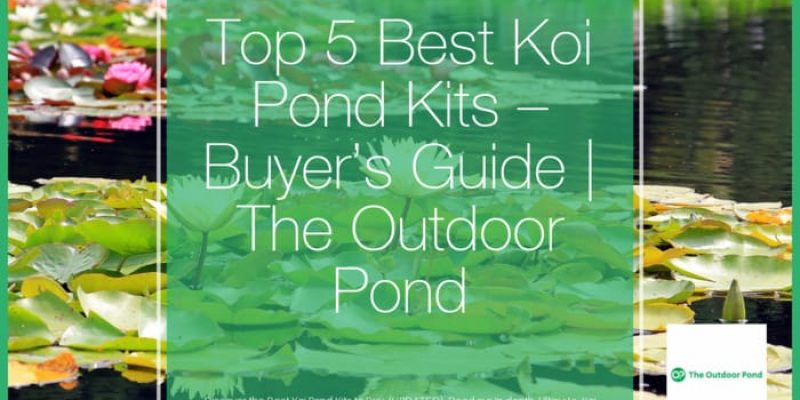 Top 5 Best Koi Pond Kits 🥇(2019 Review) Buyer’s Guide