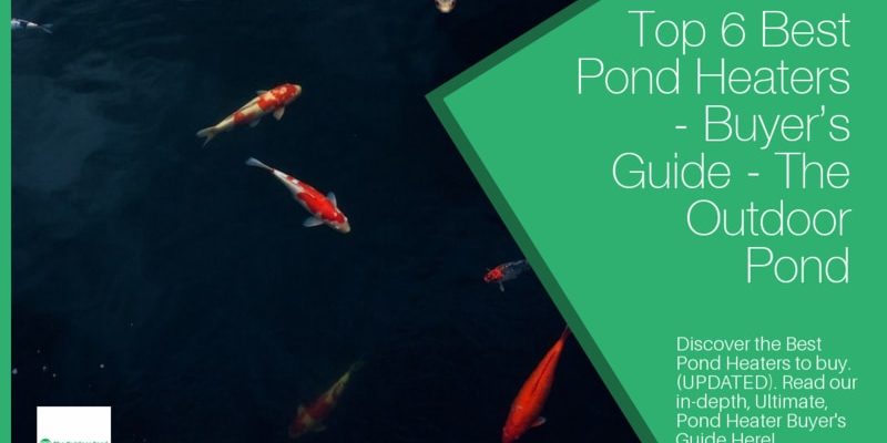 Top 6 Best Pond Heaters & De-Icers š„(2020 Review) – Buyer’s Guide